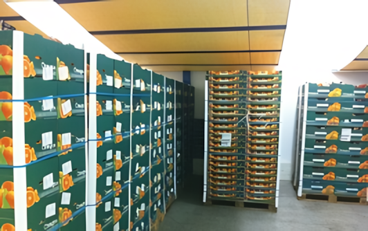 Δυναμική πρόψυξη