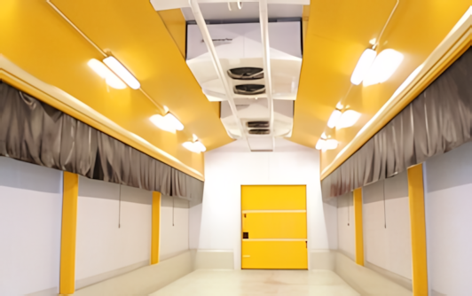 Δυναμική ωρίμανση