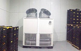 Δυναμικός αποπρασινισμός