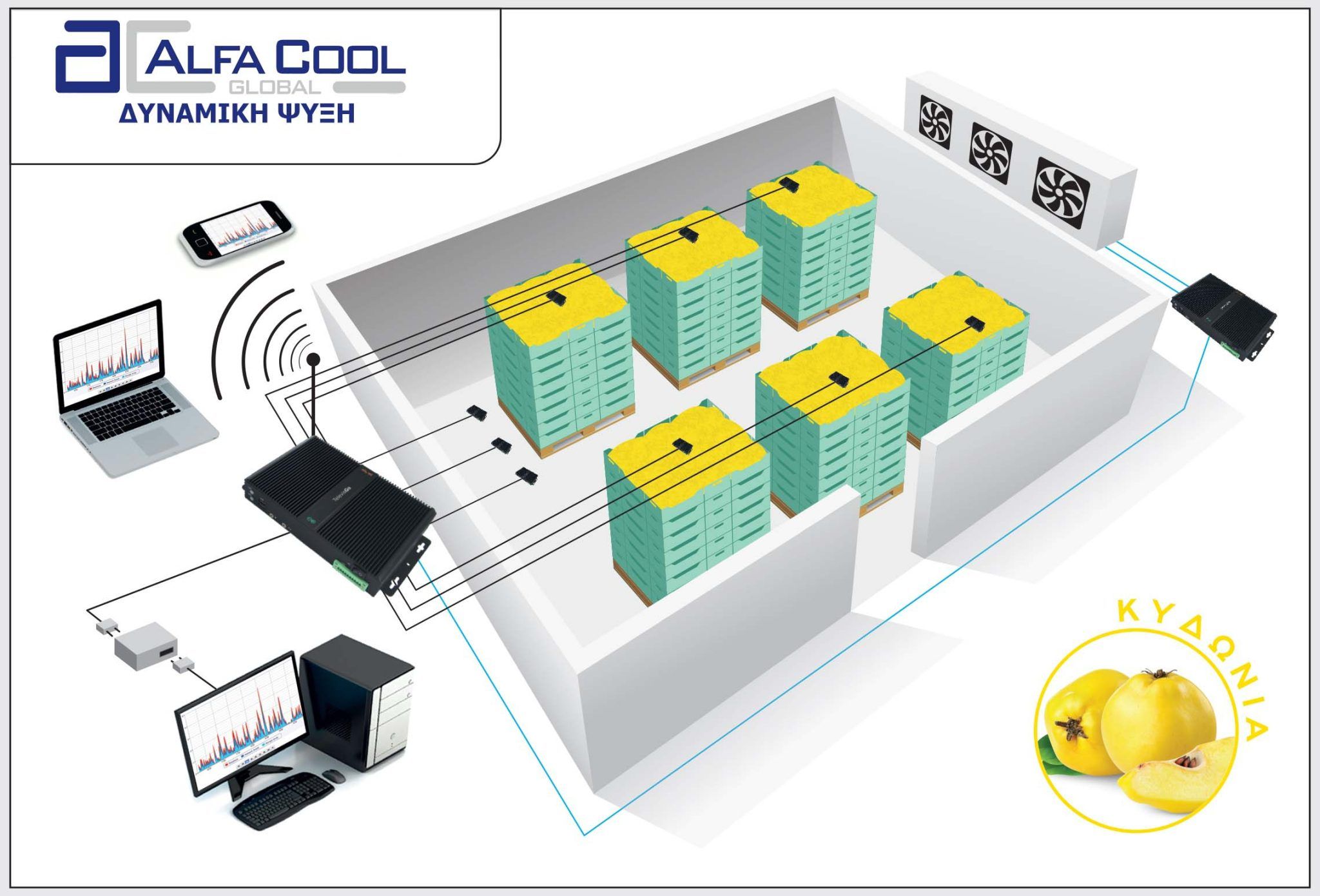 Alfa Cool τρισδιάστατη απεικόνιση μοντέλου δυναμικής ψύξεις για κυδώνια